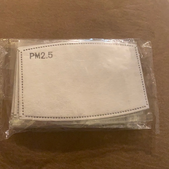 PM 2.5 Mask Filters- 2 pack - Picture 4 of 4